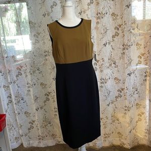 Kasper sheath. BNWT.